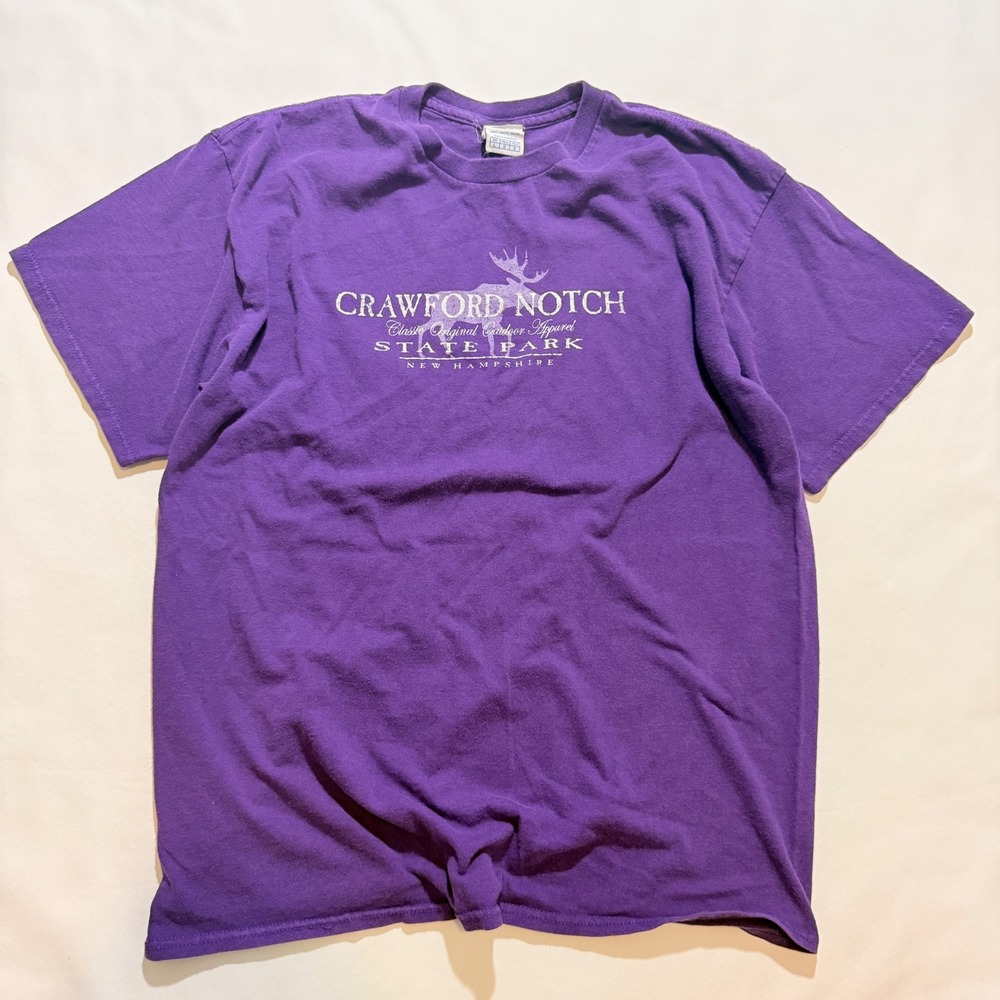 Delta Pro Weight Graphic Tee Men Large Purple Crawford Notch State Park NH 2000s